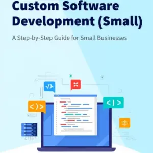 Custom Software Development (Small)